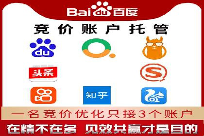 某电商平台的SEM代运营策略及效果评估